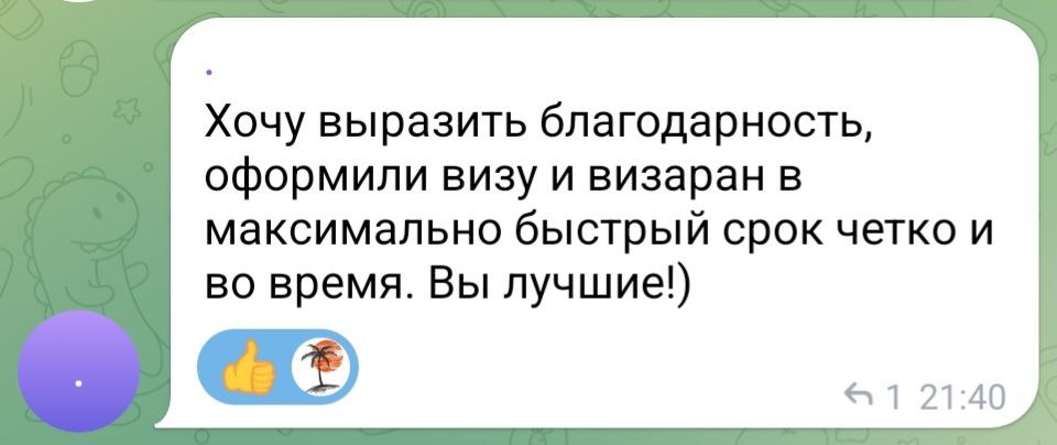 Скриншот короткого отзыва об оформлении визы и визарана
